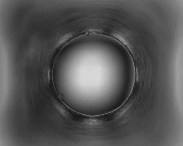 X0000087320253200704201115