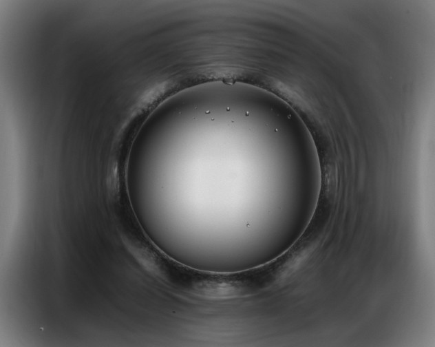 X0000087320254200704201115