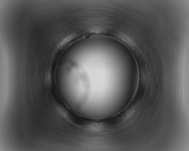 X0000087320256200704201115
