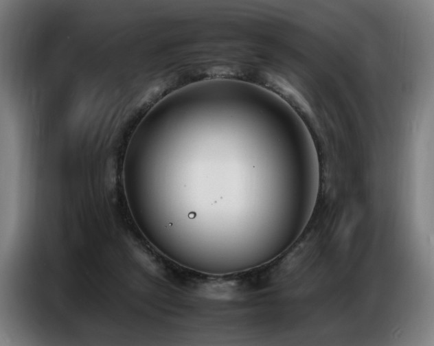 X0000087320257200704201115