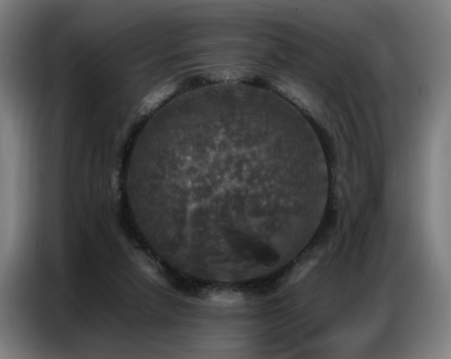 X0000087320258200704201115