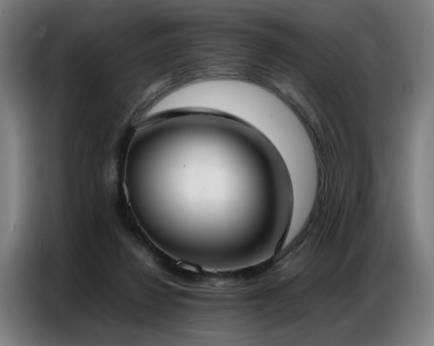 X0000087320260200704201115