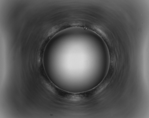 X0000087320261200704201115