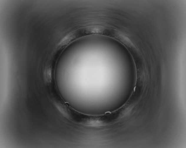 X0000087320262200704201115