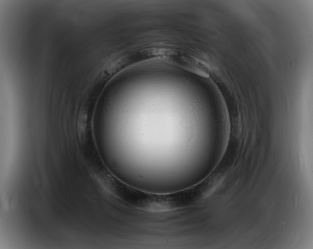 X0000087320263200704201115