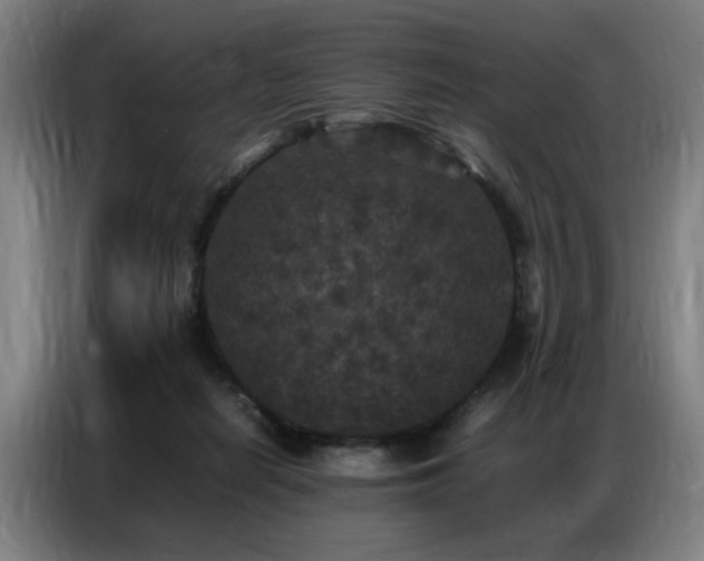 X0000087320266200704201115