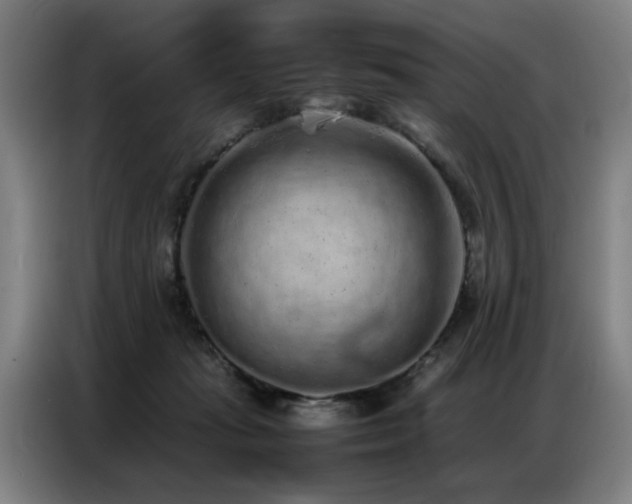 X0000087320269200704201115
