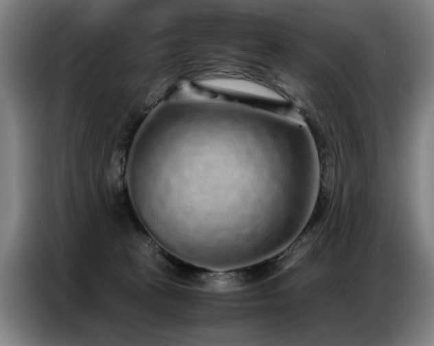 X0000087320273200704201115