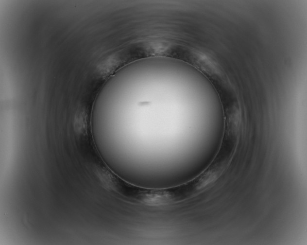 X0000087320274200704201115