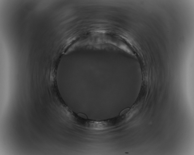 X0000087320277200704201115