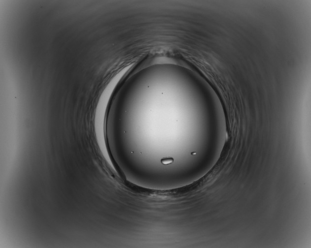 X0000087320280200704201115