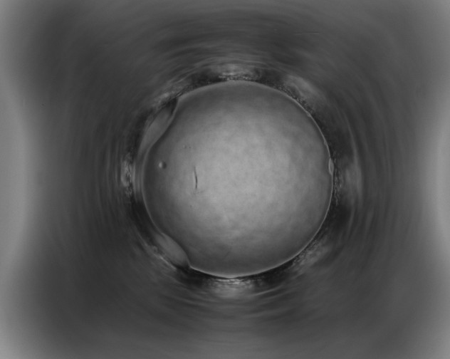 X0000087320281200704201115
