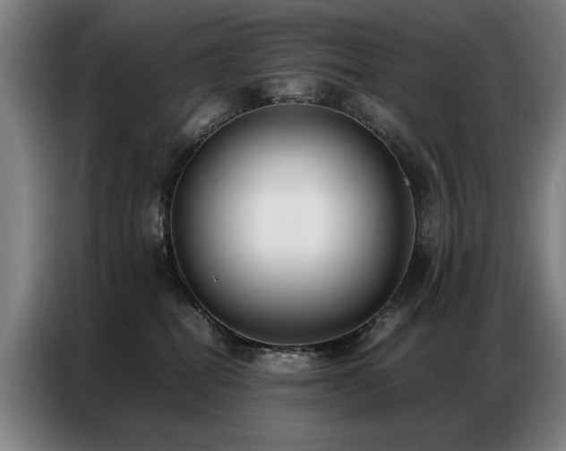 X0000087320282200704201115