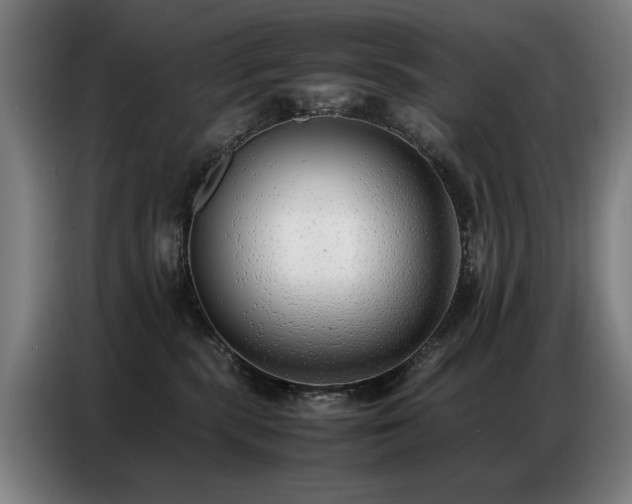 X0000087320283200704201116