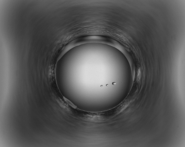 X0000087320284200704201116