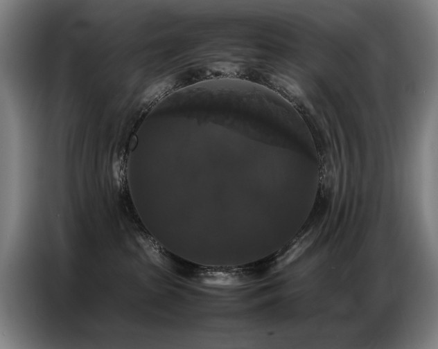 X0000087320285200704201116
