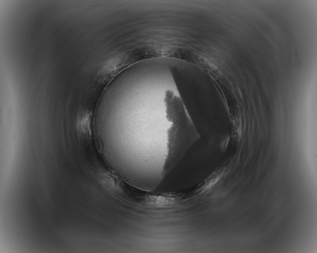 X0000087320286200704201116