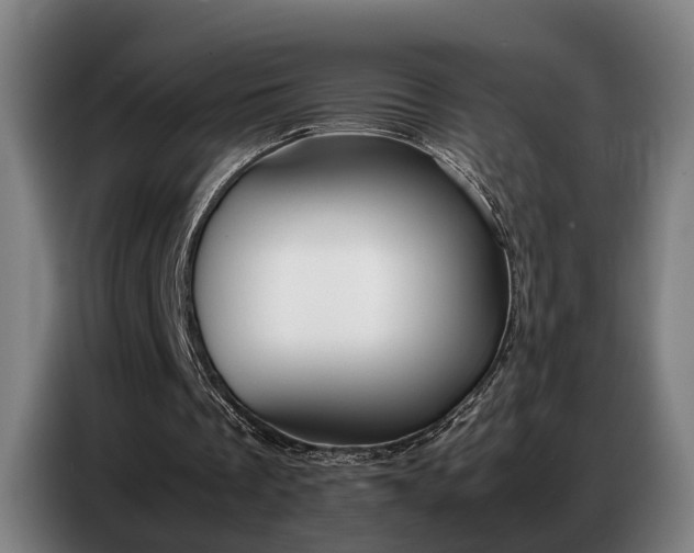 X0000087320289200704201115