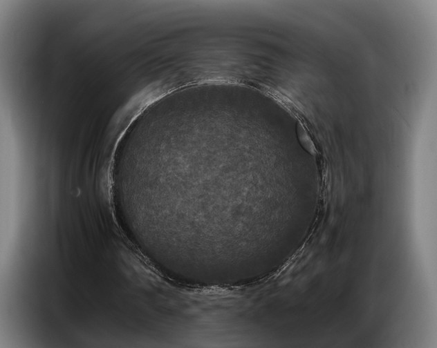 X0000087320290200704201115