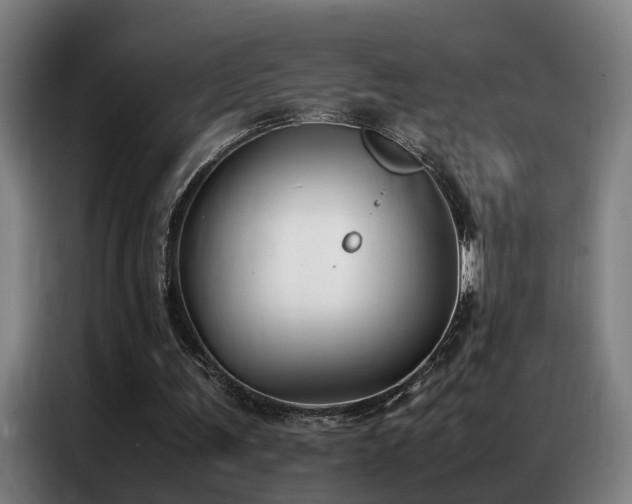 X0000087320291200704201115