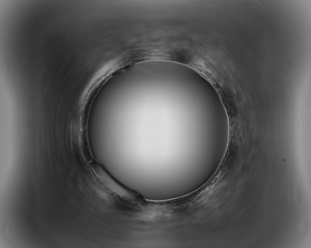 X0000087320293200704201115