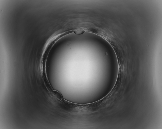 X0000087320294200704201115