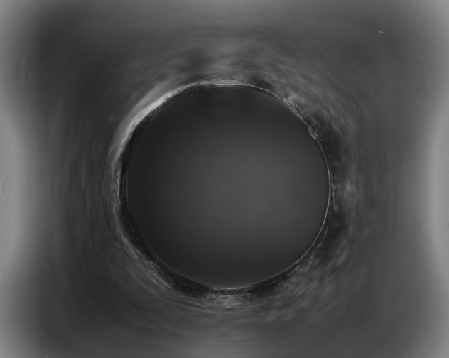 X0000087320295200704201115