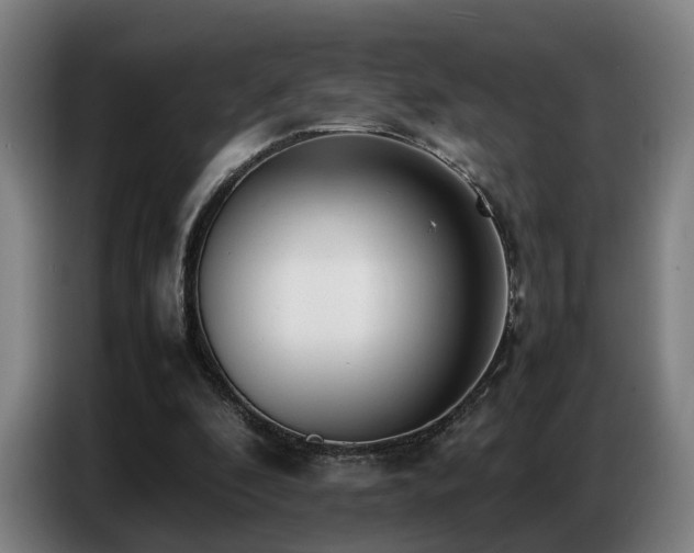 X0000087320296200704201115