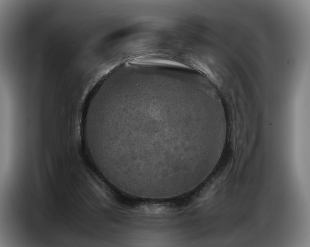 X0000087320299200704201115