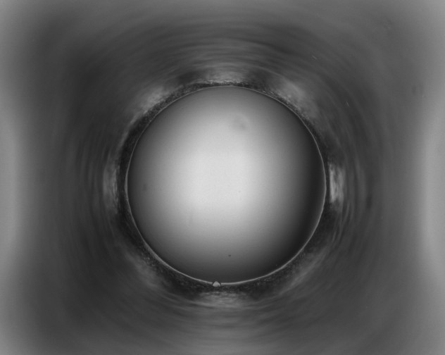 X0000087320300200704201115