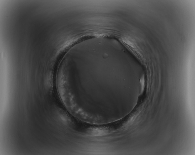 X0000087320303200704201115