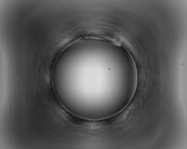 X0000087320305200704201115