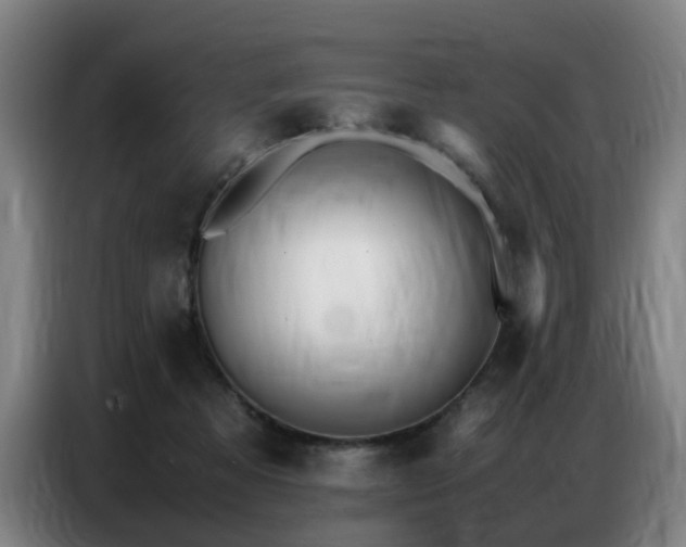 X0000087320313200704201115