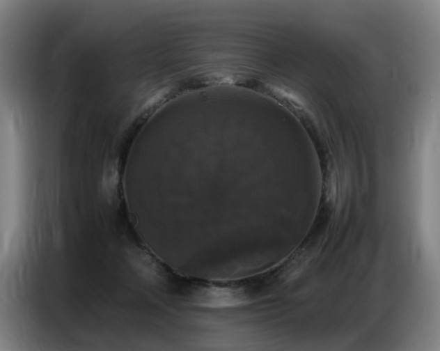 X0000087320314200704201115
