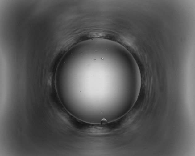 X0000087320315200704201115