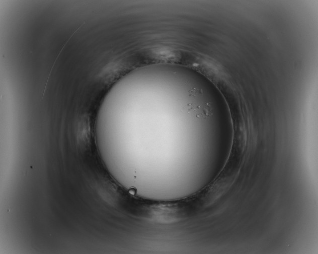 X0000087320320200704201115