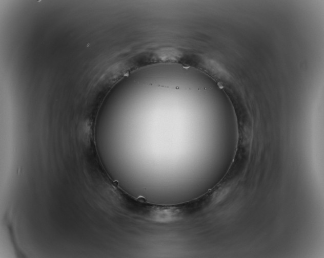 X0000087320321200704201115
