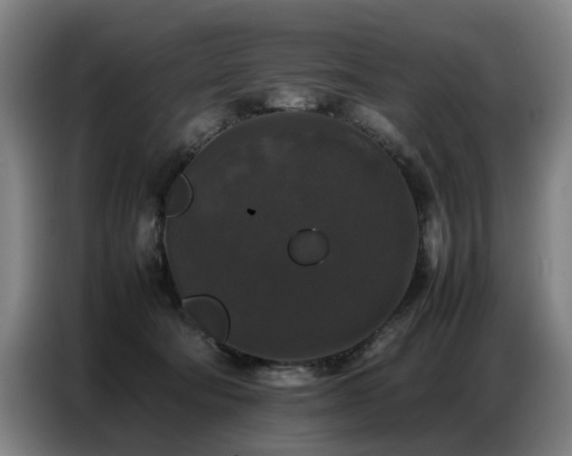 X0000087320322200704201115