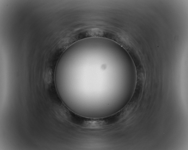 X0000087320323200704201115