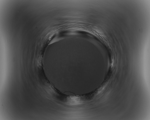 X0000087320325200704201115