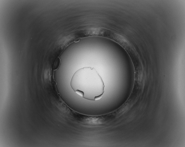 X0000087320326200704201115