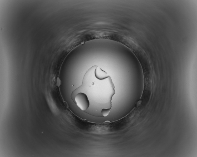 X0000087320327200704201115