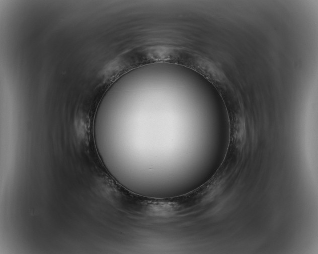 X0000087320332200704201115