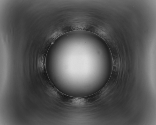X0000087320334200704201115
