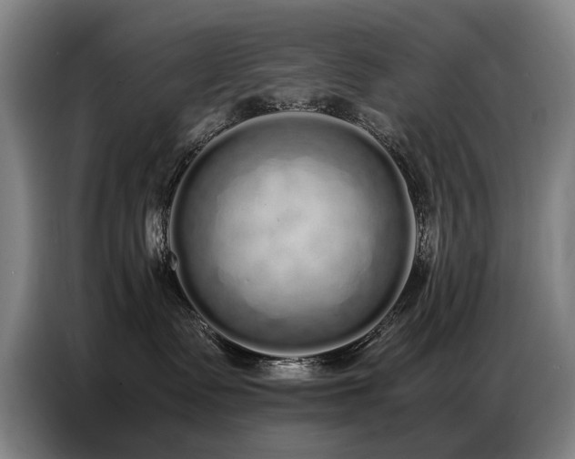 X0000087320335200704201114