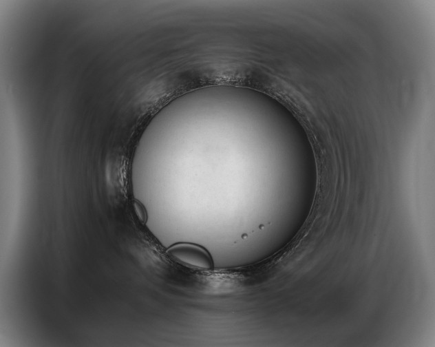 X0000087320336200704201114