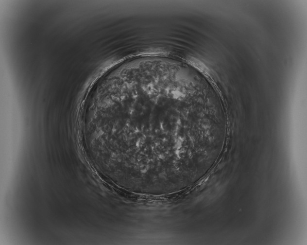 X0000087320337200704201114