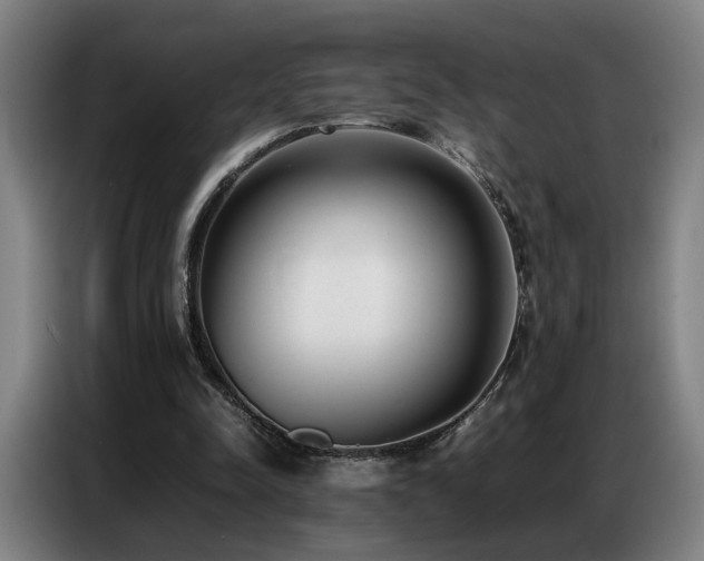 X0000087320342200704201114