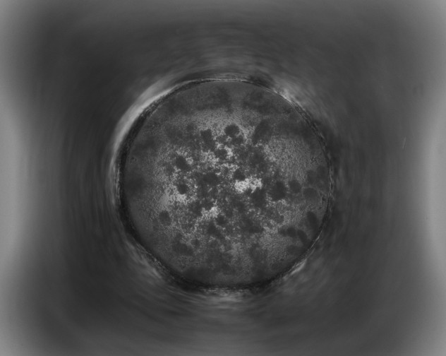 X0000087320343200704201114