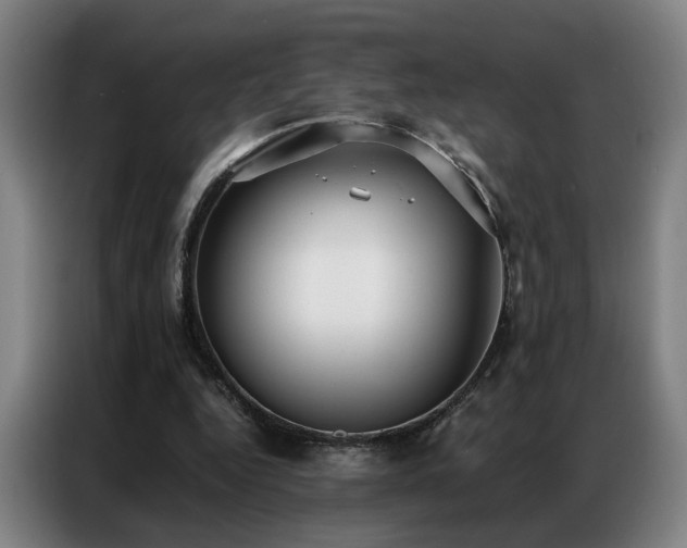 X0000087320344200704201114